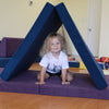 Pegasus Plus Indoor Playset (Pegasus + Spider Net + Extra Chin-up Bar + more)