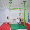 Pegasus - Indoor Playset with Monkey Bars